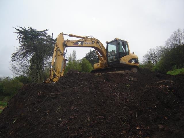 LSP- the beginning, 2008-11 Cambridge Tree Trust